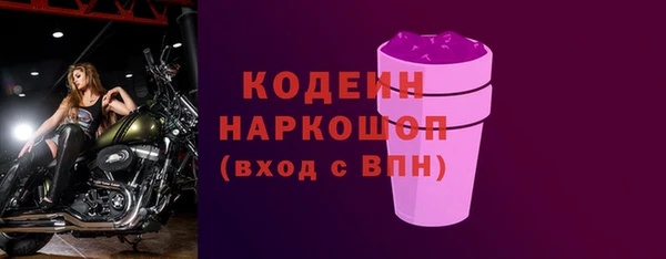 гашик Куйбышев