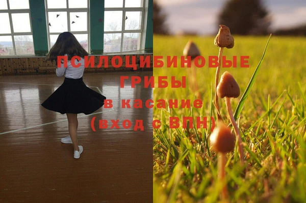 соль ск Кукмор