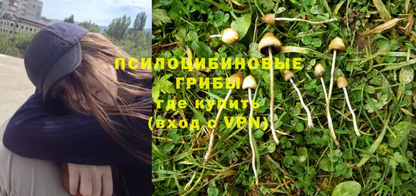 соль ск Кукмор