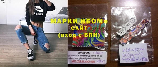 соль ск Кукмор