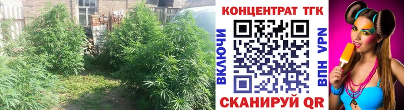 ТГК жижа  Усолье-Сибирское 