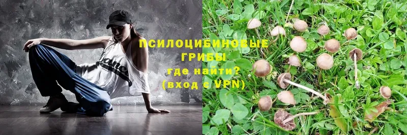 Галлюциногенные грибы Magic Shrooms  наркошоп  Усолье-Сибирское 