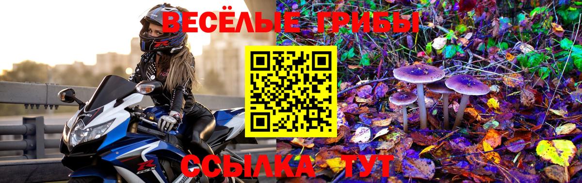 Галлюциногенные грибы MAGIC MUSHROOMS  Усолье-Сибирское  Галлюциногенные грибы Cubensis 