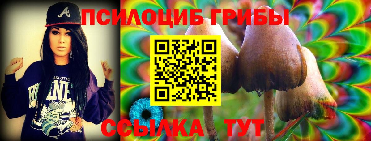 Галлюциногенные грибы мухоморы  Вход с VPN  Усолье-Сибирское 